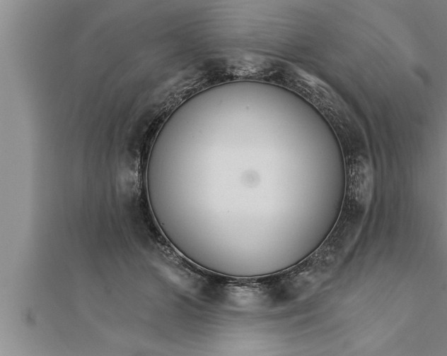 X0000111510510200908041225