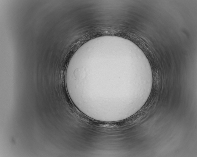 X0000111510511200908041225