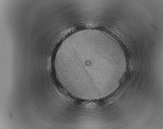 X0000111510512200908041225