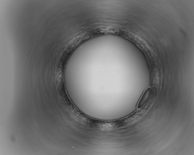 X0000111510513200908041225