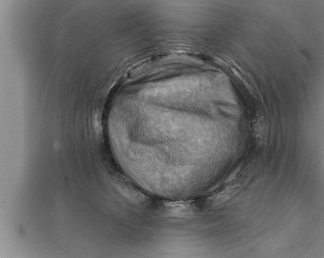 X0000111510516200908041225