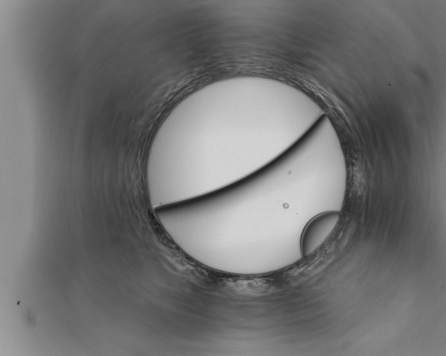 X0000111510517200908041225
