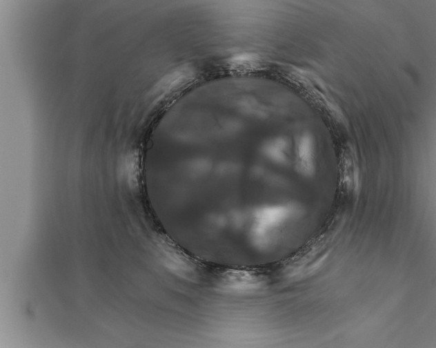 X0000111510519200908041225