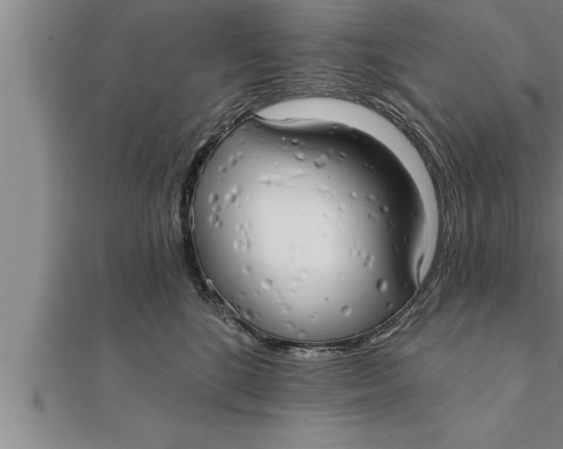X0000111510520200908041225