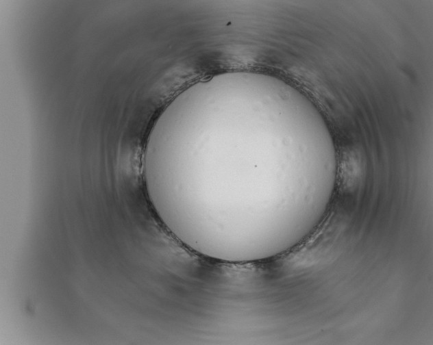 X0000111510525200908041225