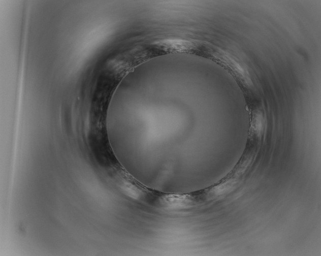 X0000111510526200908041225