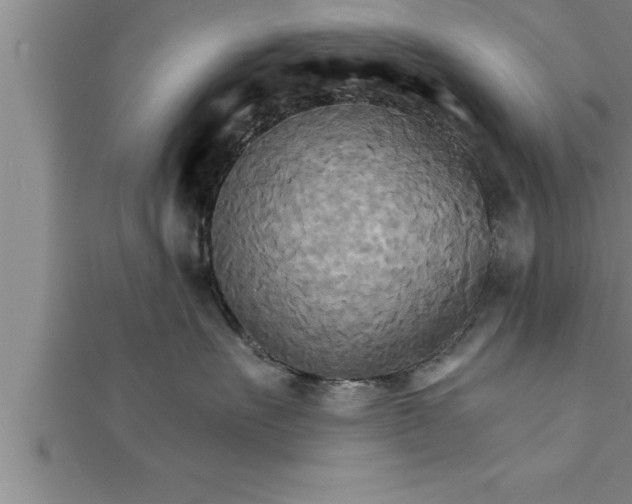 X0000111510527200908041225