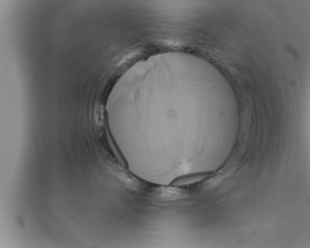 X0000111510528200908041225