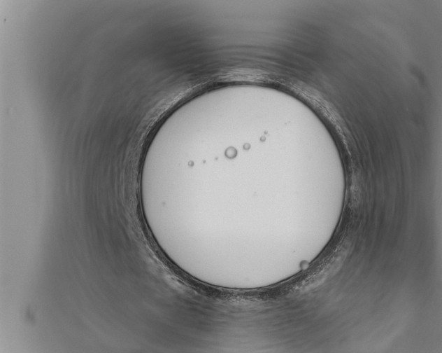 X0000111510529200908041224