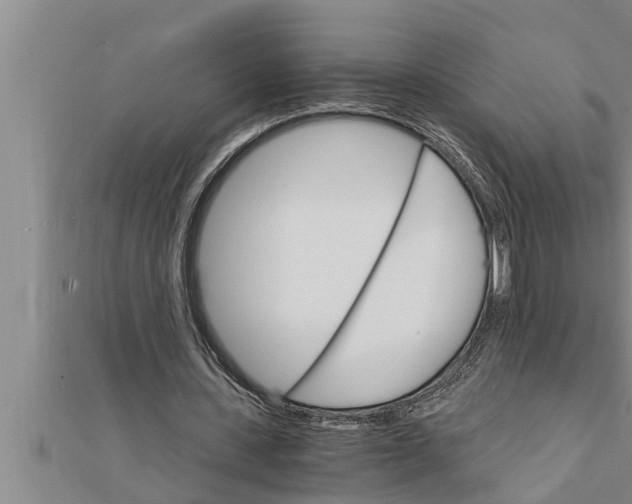 X0000111510531200908041224