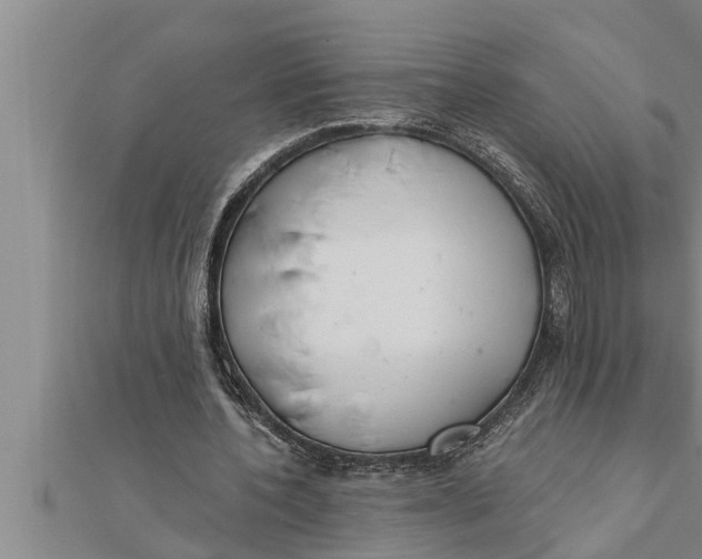 X0000111510532200908041224