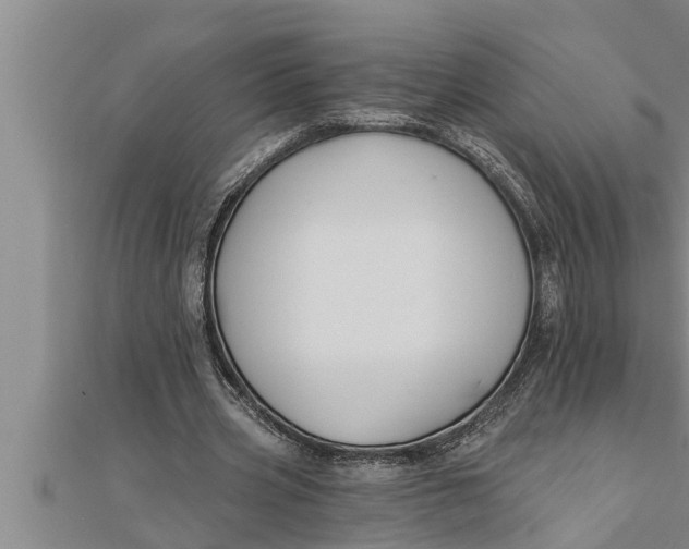 X0000111510533200908041224