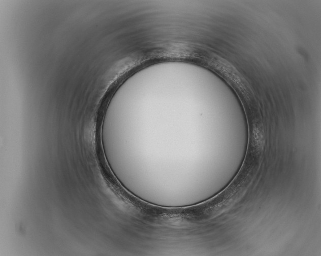 X0000111510534200908041225