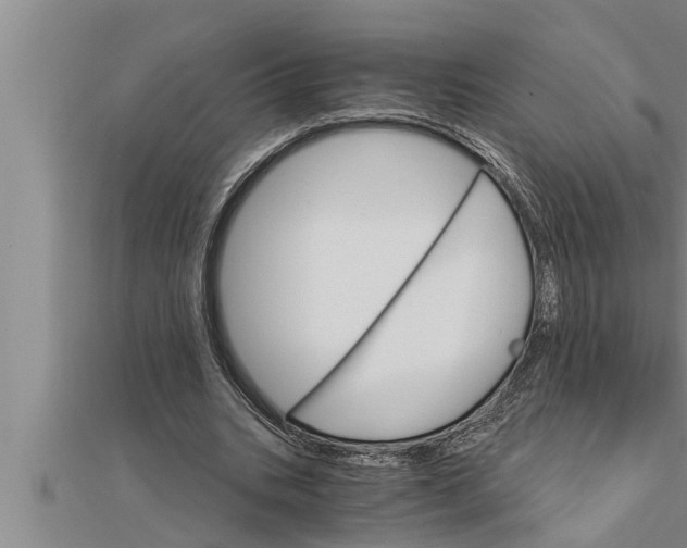 X0000111510535200908041225