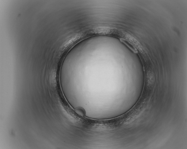 X0000111510538200908041225