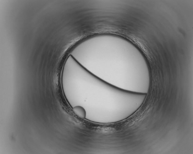 X0000111510539200908041225