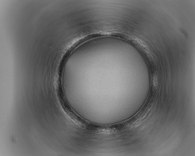 X0000111510540200908041225