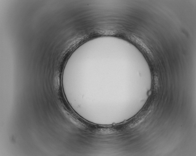 X0000111510541200908041225