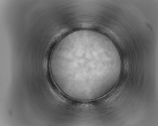 X0000111510542200908041225