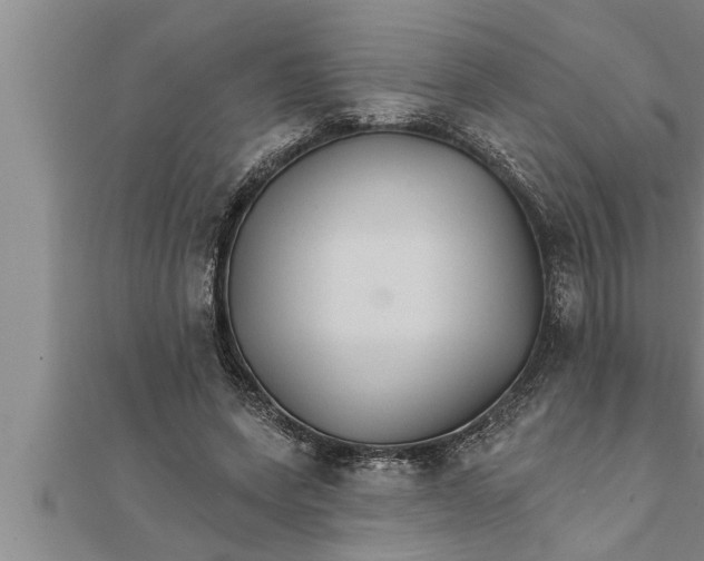 X0000111510543200908041225