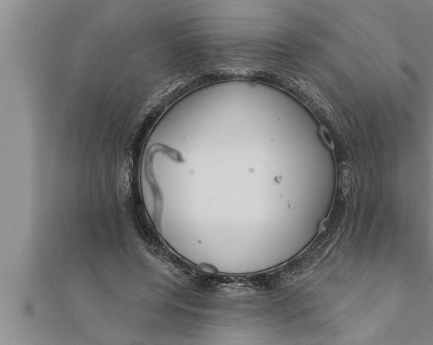 X0000111510544200908041225