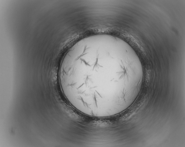 X0000111510545200908041225