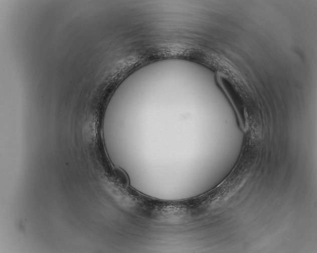 X0000111510546200908041225