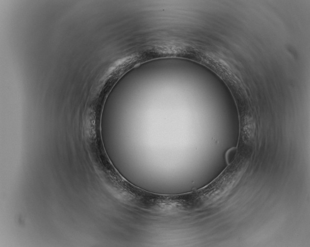 X0000111510547200908041225