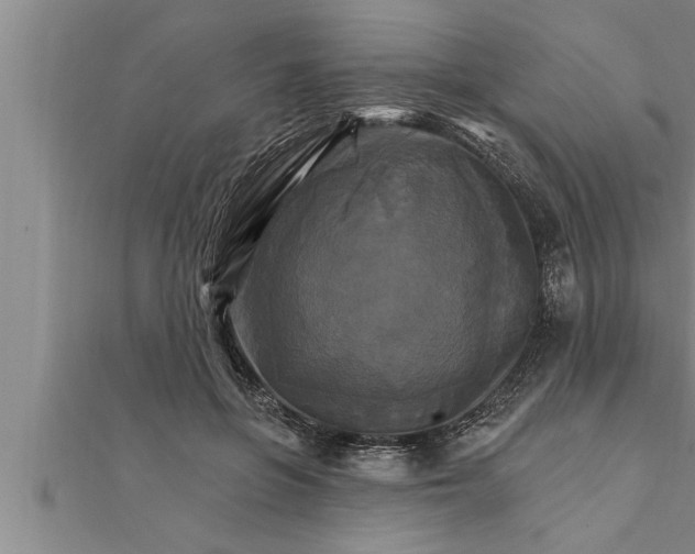 X0000111510551200908041225