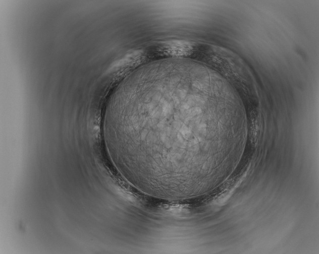 X0000111510553200908041225
