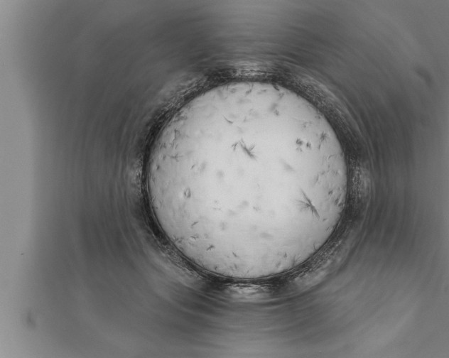 X0000111510557200908041225