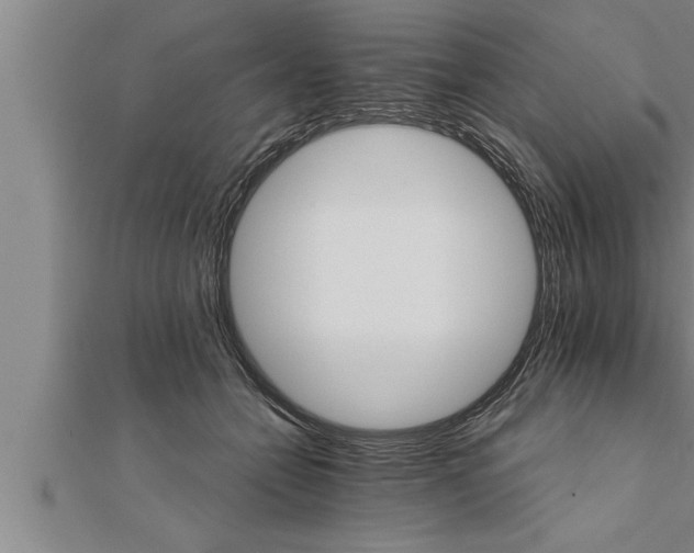 X0000111510558200908041225