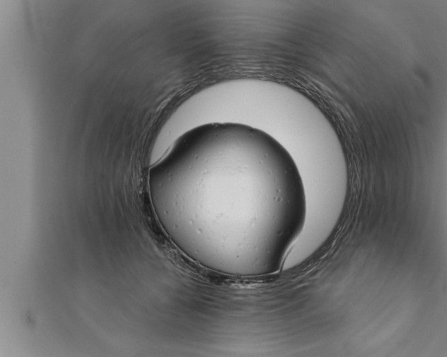 X0000111510560200908041225