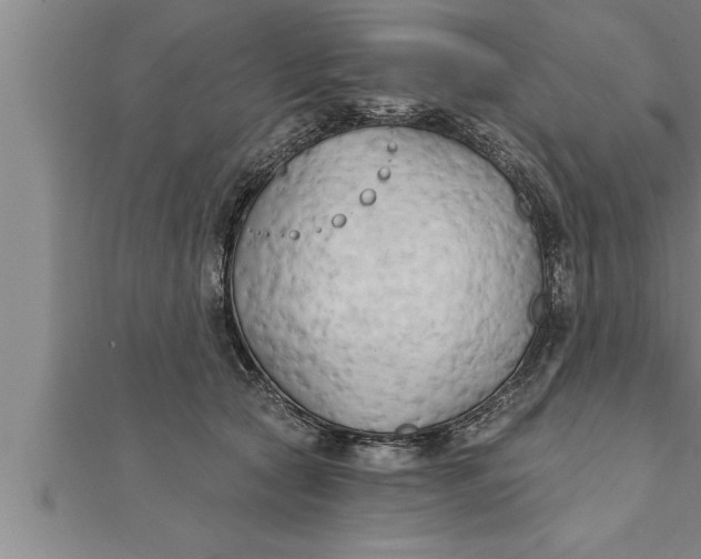 X0000111510561200908041225