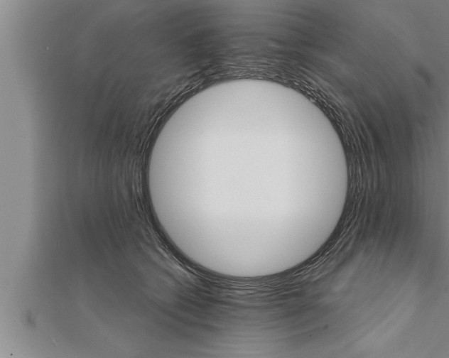 X0000111510562200908041225