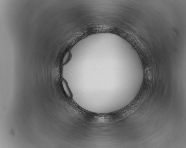 X0000111510564200908041225