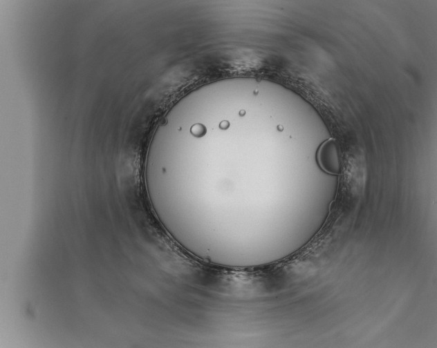 X0000111510565200908041225