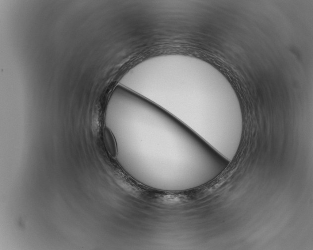 X0000111510566200908041225