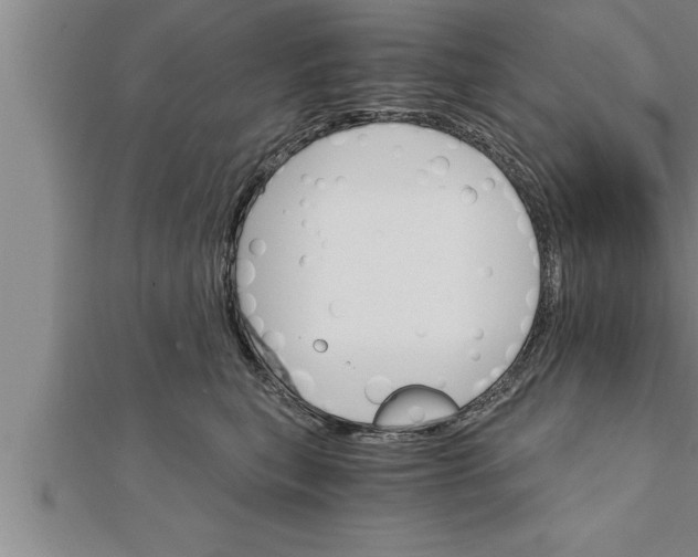 X0000111510567200908041225
