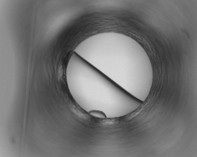 X0000111510574200908041225
