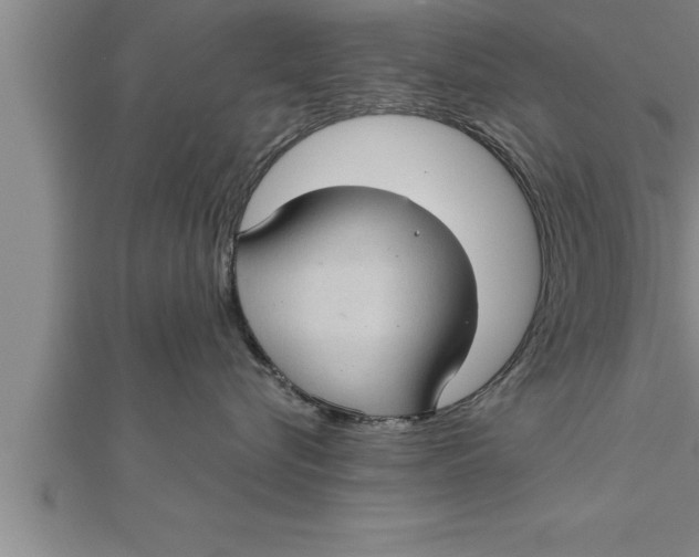 X0000111510576200908041225