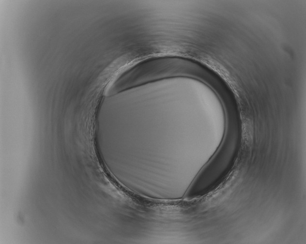 X0000111510577200908041224