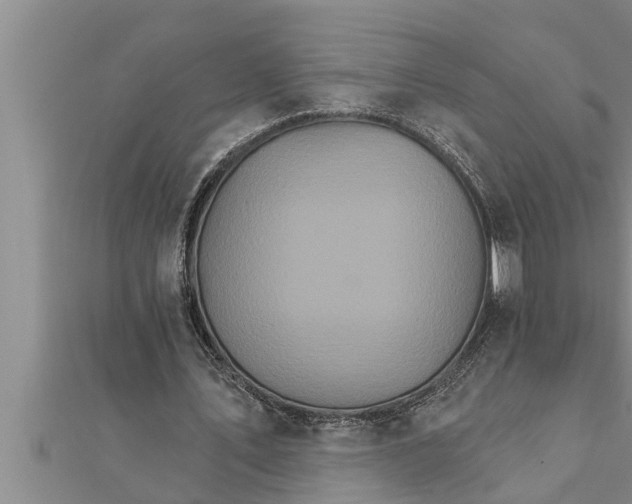 X0000111510579200908041224