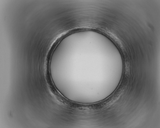 X0000111510580200908041224