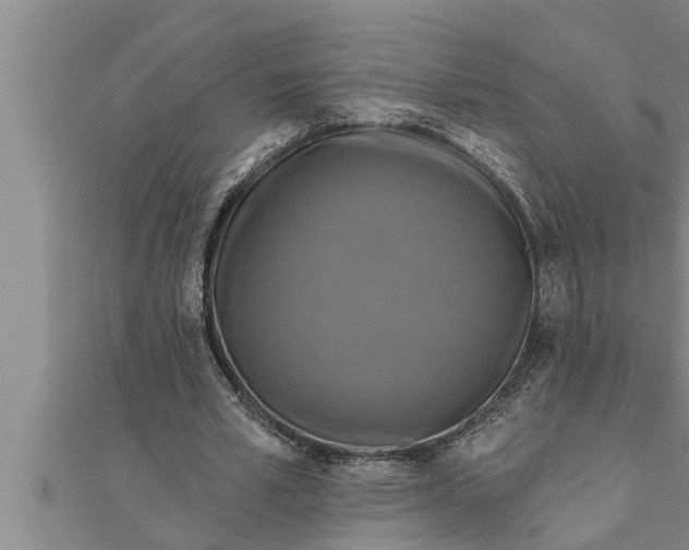 X0000111510581200908041224