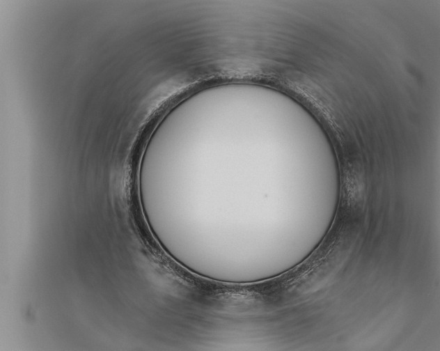 X0000111510583200908041224