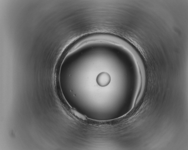 X0000111510584200908041224