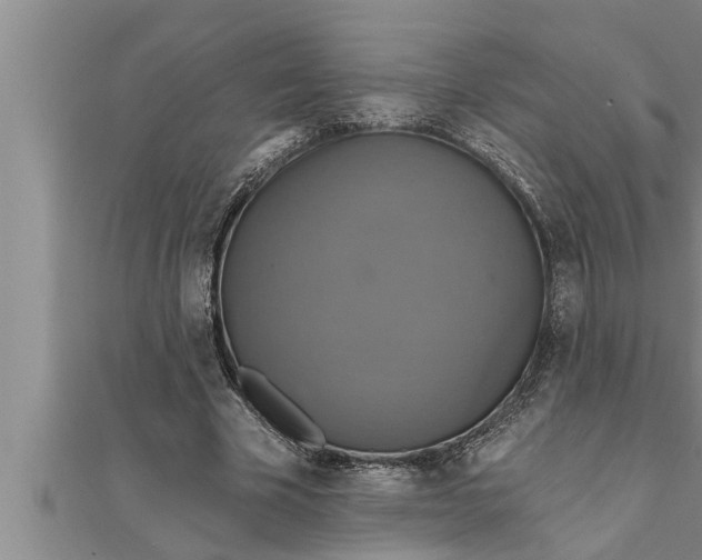 X0000111510585200908041224