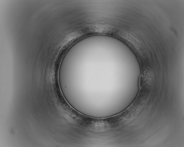 X0000111510587200908041224