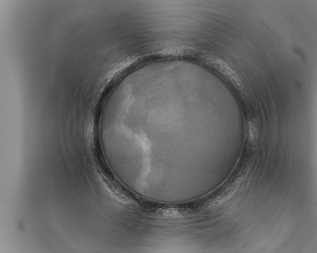 X0000111510588200908041224